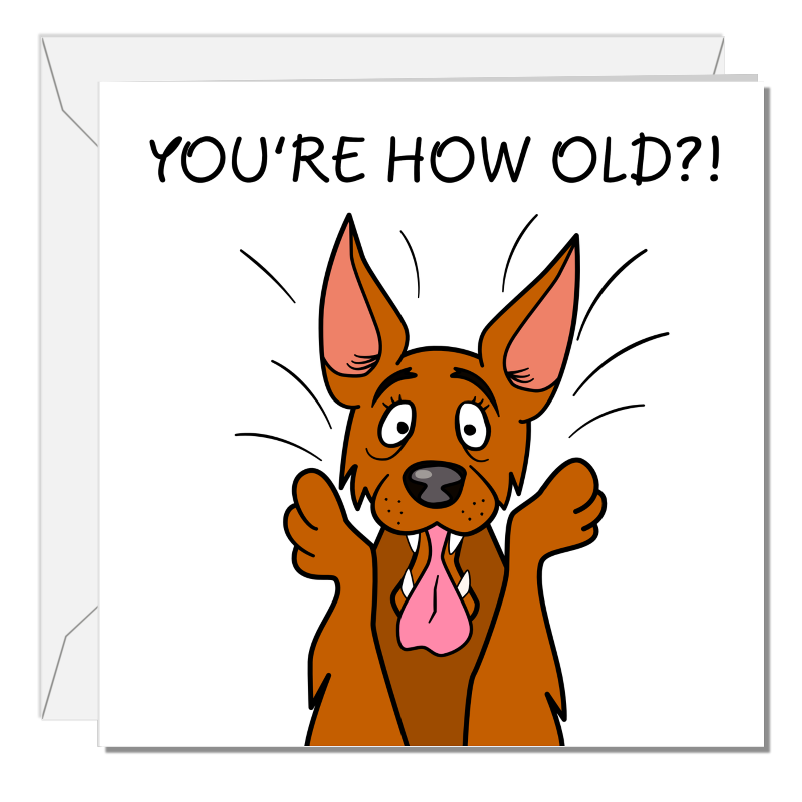Funny Dog 40th 50th 60th 70th Birthday Card for Men Women Him Her Humorous Animal Pug Bulldog Labrador RetrieverCross