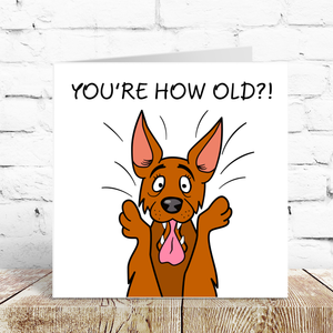 Funny Dog 40th 50th 60th 70th Birthday Card for Men Women Him Her Humorous Animal Pug Bulldog Labrador RetrieverCross