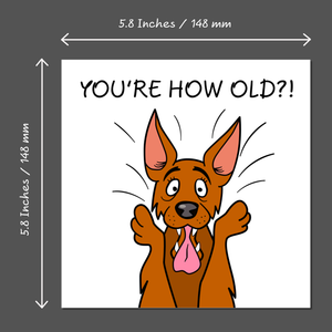 Funny Dog 40th 50th 60th 70th Birthday Card for Men Women Him Her Humorous Animal Pug Bulldog Labrador RetrieverCross