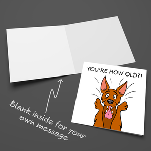 Funny Dog 40th 50th 60th 70th Birthday Card for Men Women Him Her Humorous Animal Pug Bulldog Labrador RetrieverCross