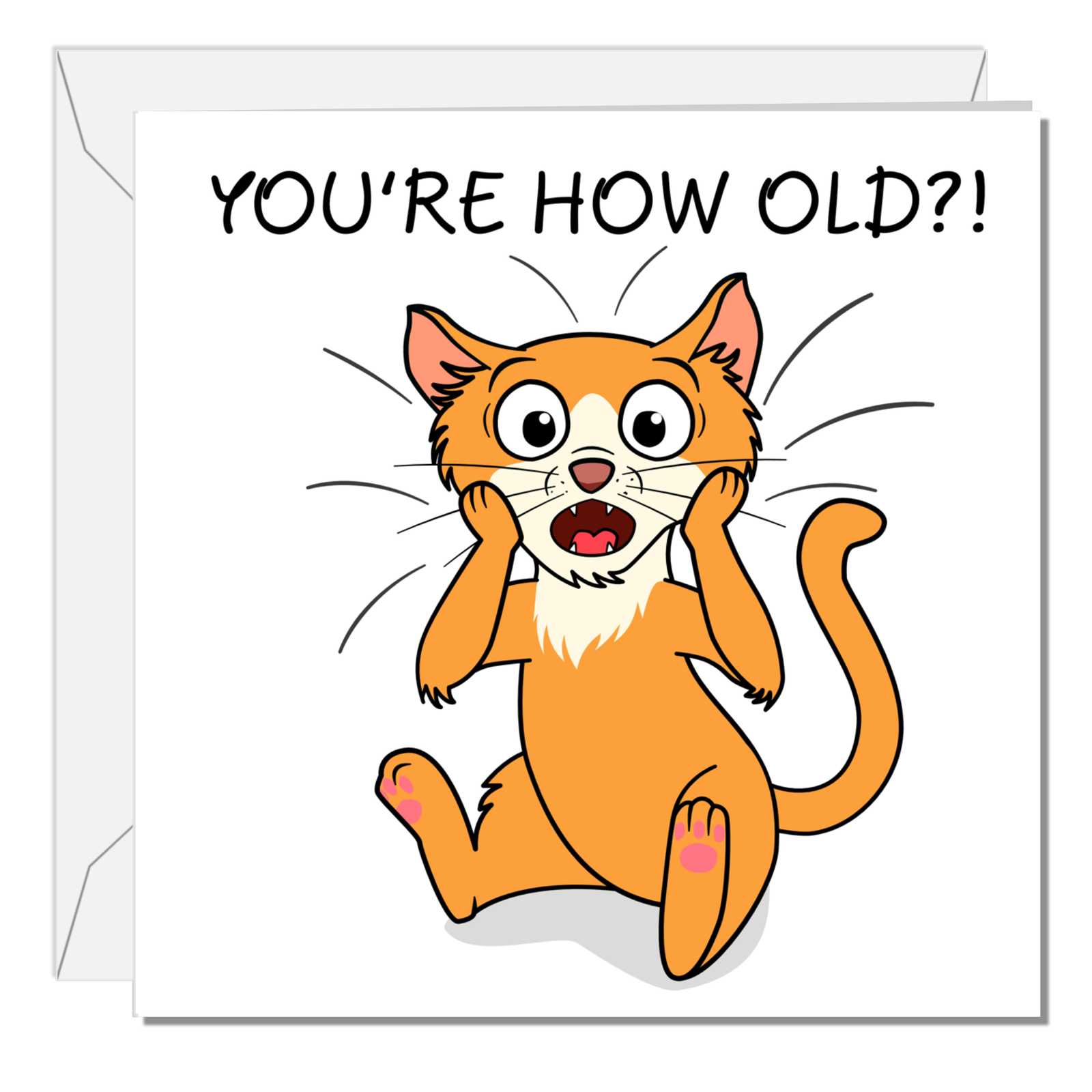 Funny Cat 40th 50th 60th 70th Birthday Card for Men Women Him Her Humorous Animal Pet Moggie