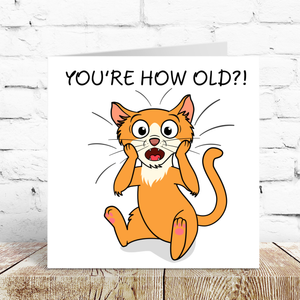Funny Cat 40th 50th 60th 70th Birthday Card for Men Women Him Her Humorous Animal Pet Moggie
