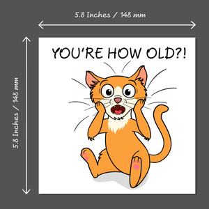 Funny Cat 40th 50th 60th 70th Birthday Card for Men Women Him Her Humorous Animal Pet Moggie