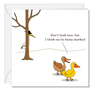 Funny Birthday Card for Male Female Him Her Ducks Animals Humorous Swizzoo