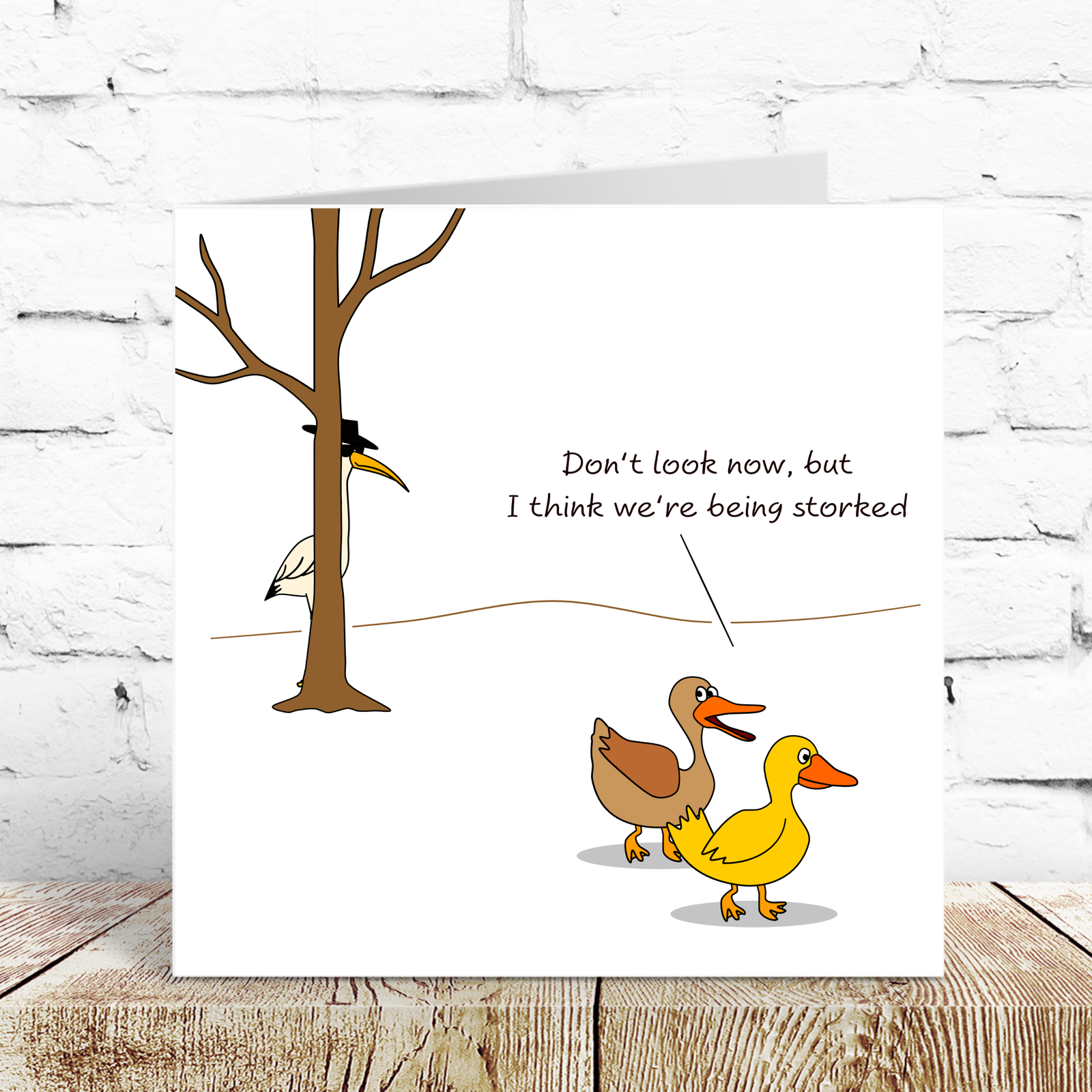 Funny Birthday Card for Male Female Him Her Ducks Animals Humorous Swizzoo