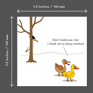 Funny Birthday Card for Male Female Him Her Ducks Animals Humorous Swizzoo