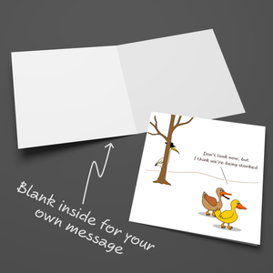Funny Birthday Card for Male Female Him Her Ducks Animals Humorous Swizzoo