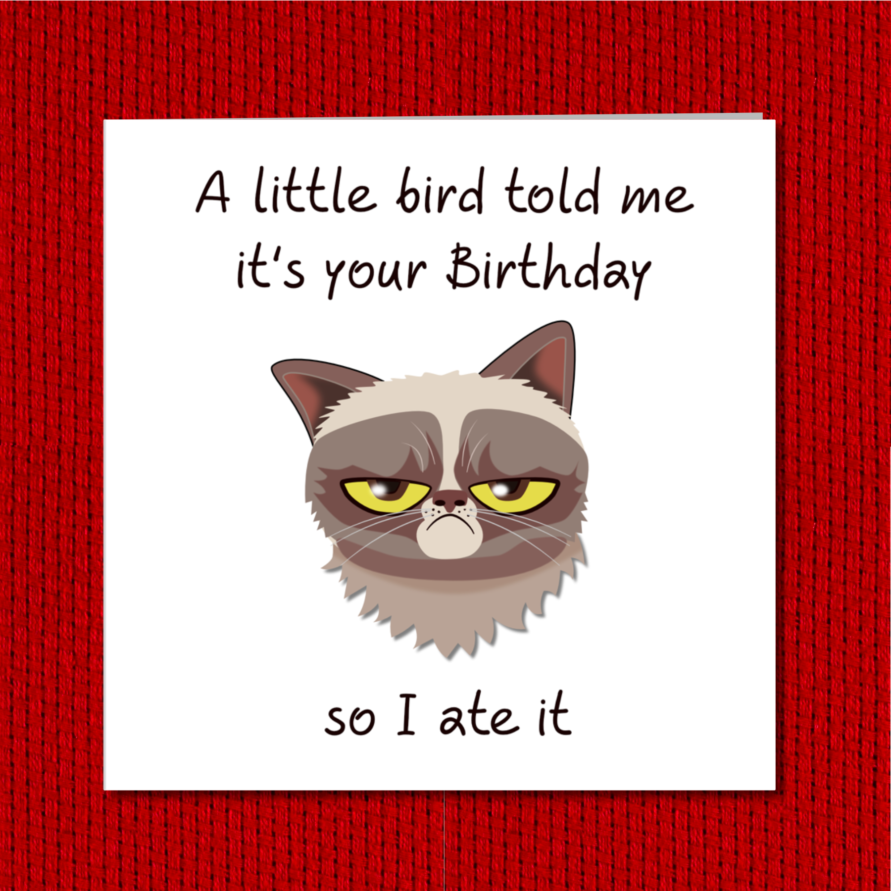 grumpy cat photo
