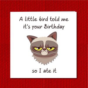 grumpy cat photo