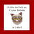 grumpy cat photo