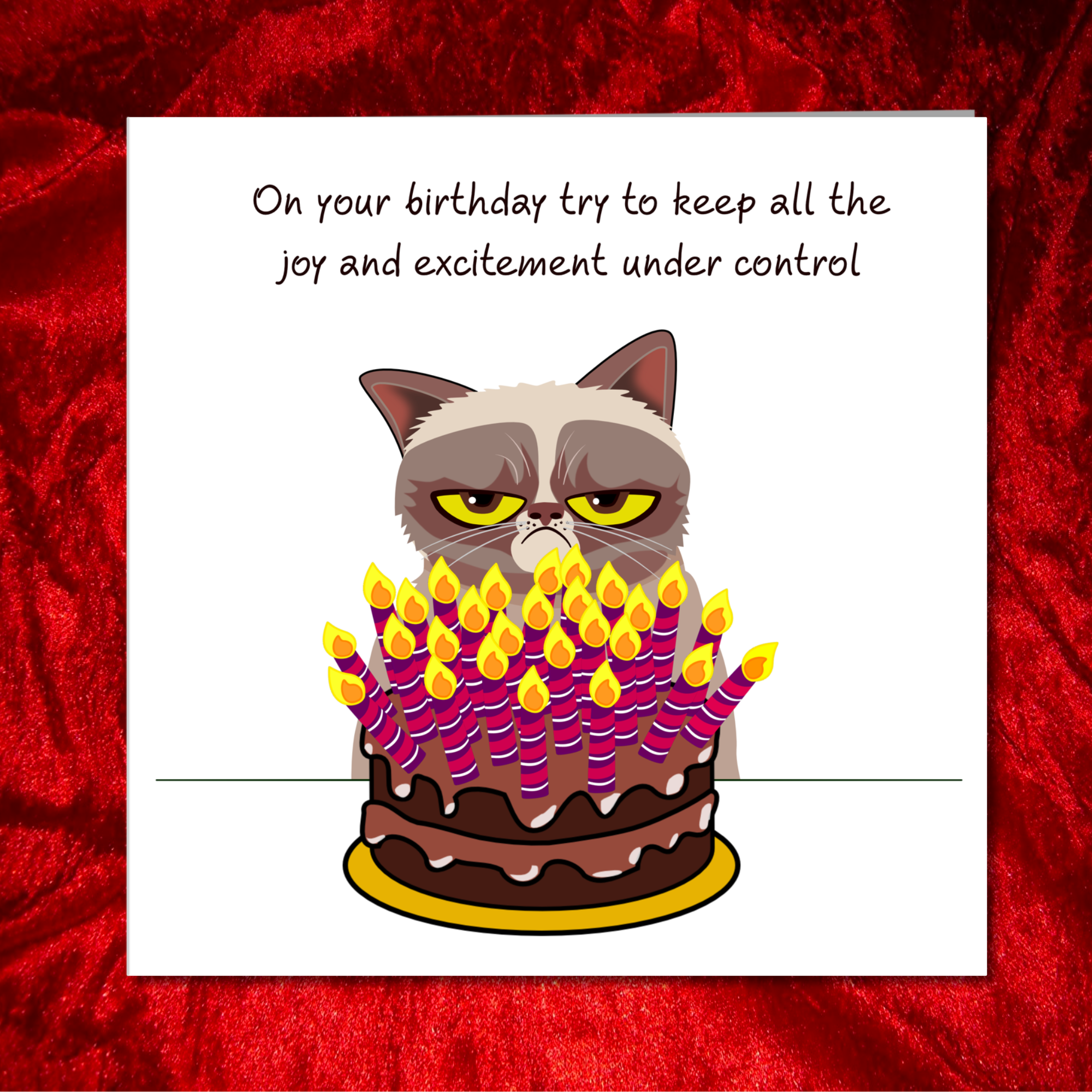 Grumpy Cat Birthday Card - Funny, humorous, fun - grouchy bad-tempered -  Swizzoo, image size:2000x2000