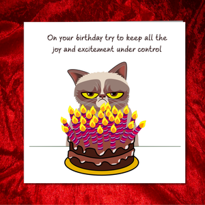 Grumpy Cat Birthday Card - Funny, humorous, fun - grouchy bad-tempered - husband dad grandad grandpa - humour
