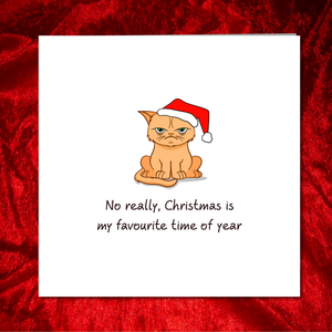 Grumpy Cat Christmas Card - Scrooge Humbug Grinch - Funny humorous humour