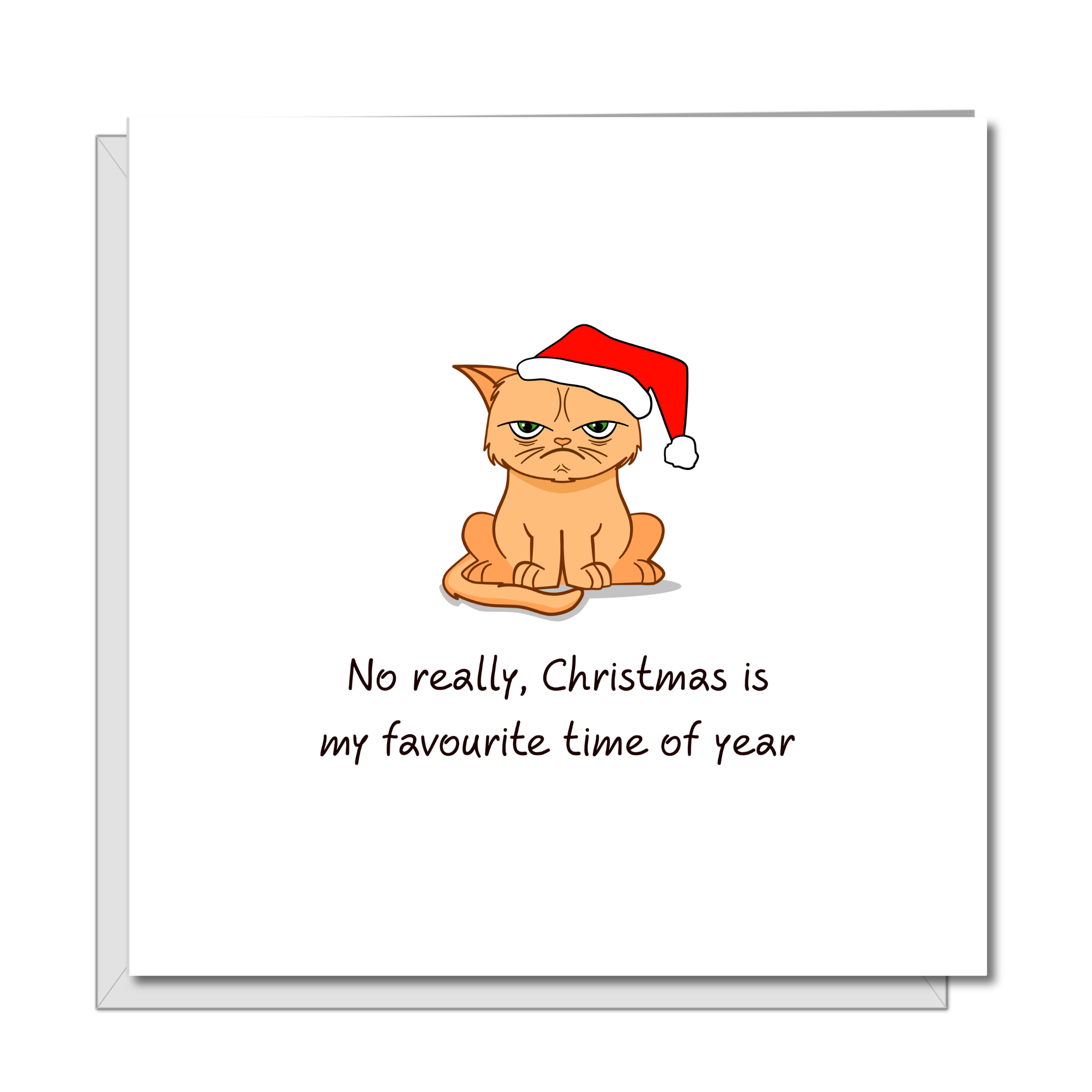 Grumpy Cat Christmas Card - Scrooge Humbug Grinch - Funny humorous humour