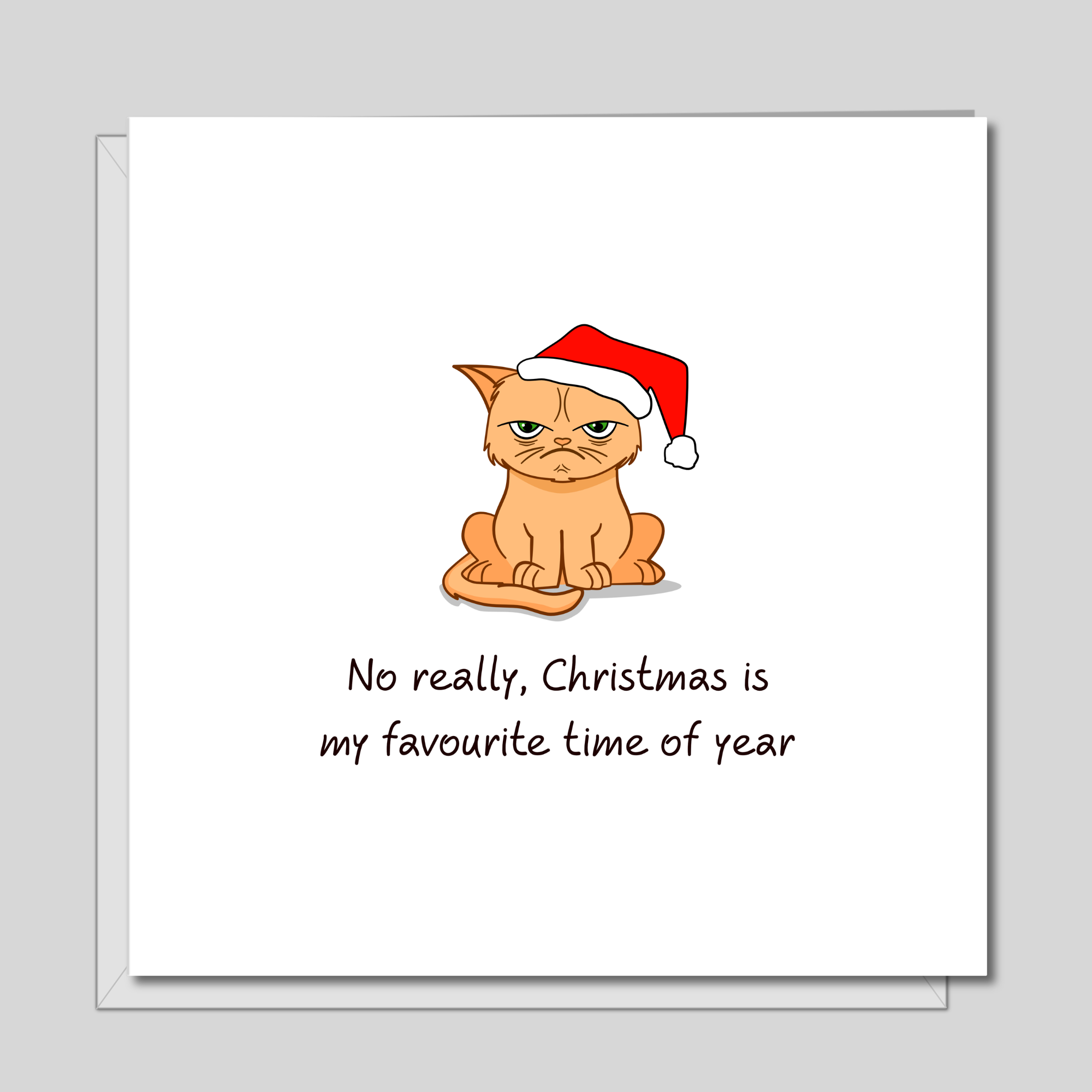 Grumpy Cat Christmas Card - Scrooge Humbug Grinch - Funny humorous humour