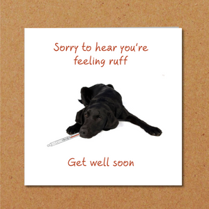 speedy recovery card dog