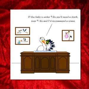 Funny New Baby Congratulations Card for New Parents Humorous Pregnancy Card for Mother and Father. Stork Baby Delivery. Swizzoo