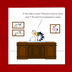 Funny New Baby Congratulations Card for New Parents Humorous Pregnancy Card for Mother and Father. Stork Baby Delivery. Swizzoo