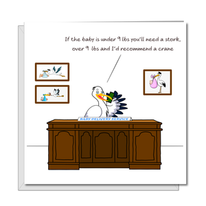 Funny New Baby Congratulations Card for New Parents Humorous Pregnancy Card for Mother and Father. Stork Baby Delivery. Swizzoo