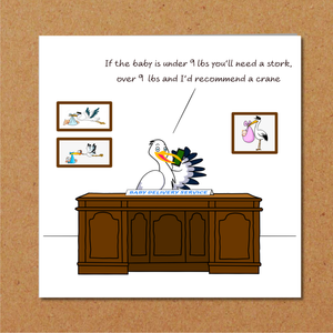 Funny New Baby Congratulations Card for New Parents Humorous Pregnancy Card for Mother and Father. Stork Baby Delivery. Swizzoo